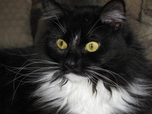 08_Belle_0002.JPG