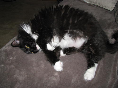 08_Belle_0004.JPG