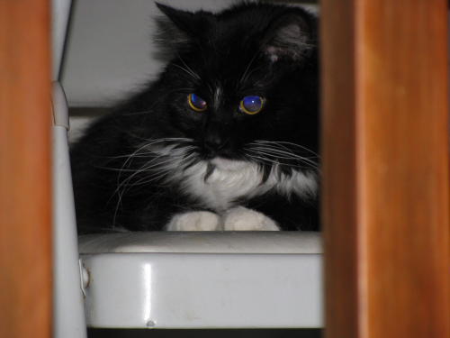 08_Belle_0006.JPG