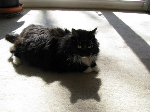08_Belle_0008.JPG